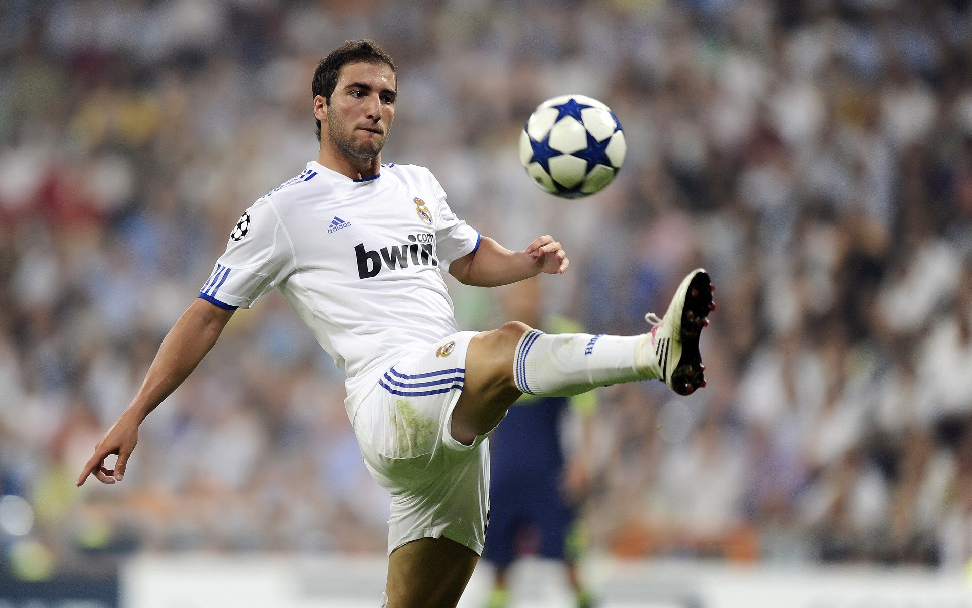 国王加强罚球训练命中率明显提升,国王踢球